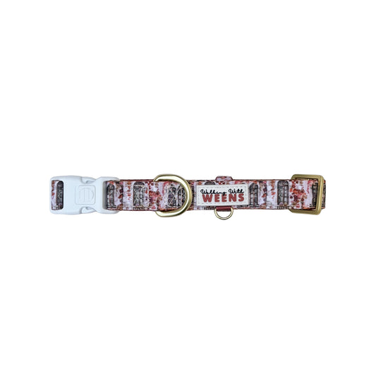 Terracotta Terrace - Collar
