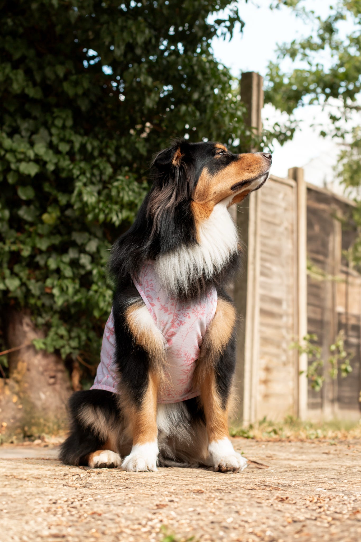Magnolia Mist - Cooling Vest