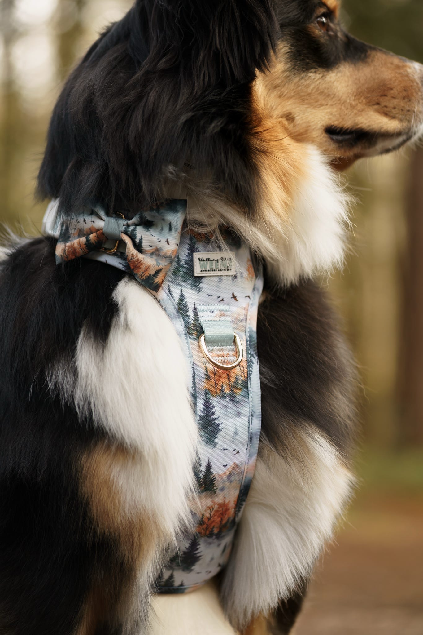 Pinewood Peaks - Bow Tie