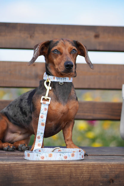 Golden Groves - 4ft Lead