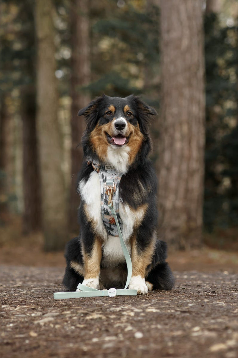 Sage Green - Waterproof Lead