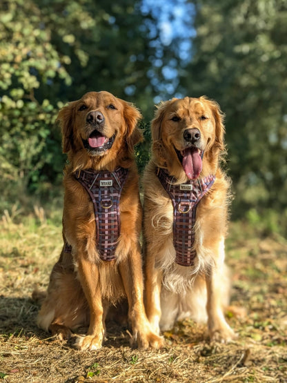 SECONDS - Paddington Plaid - Adventure Addition