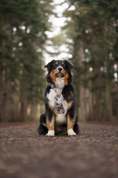 Pinewood Peaks - Adventure Addition