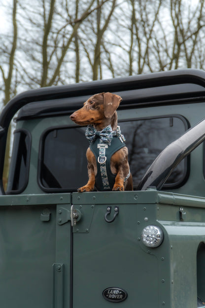 SECONDS - Hidden Highlands - Adjustable Harness
