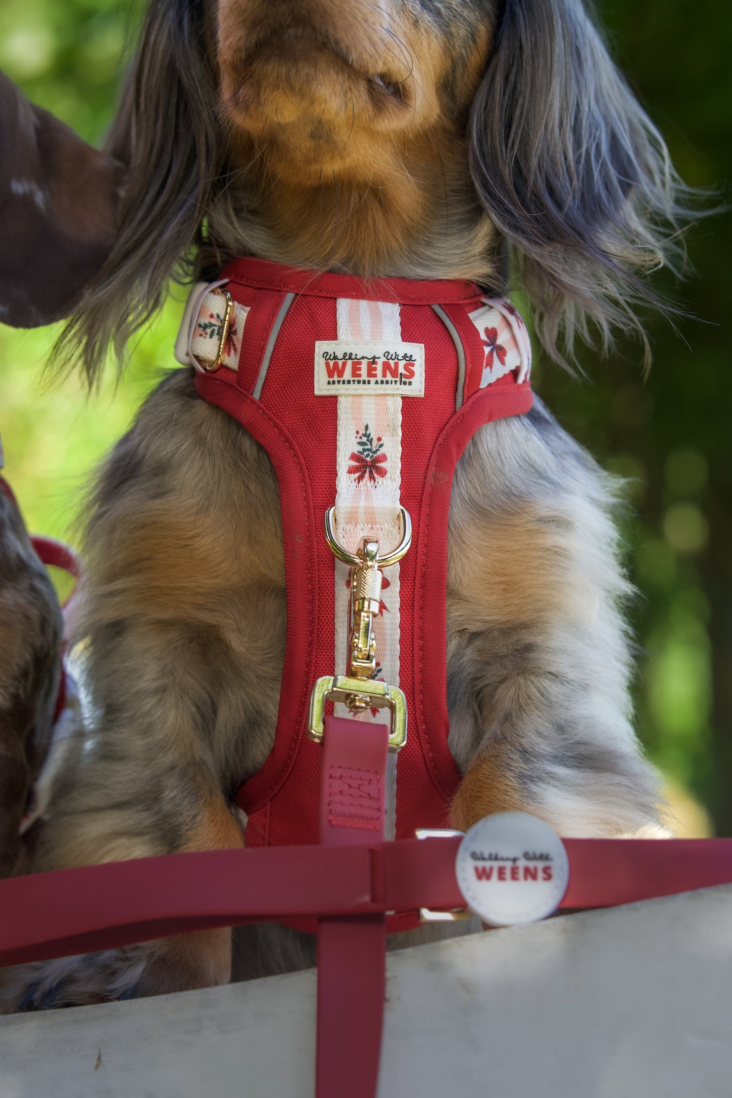 Classic Crimson - Adventure Addition