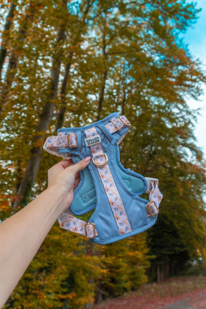 SECONDS - Whimsical Woodlands - Adventure Addition