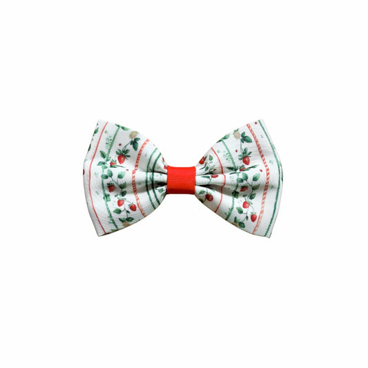 Berries and Bloom - Bow Tie