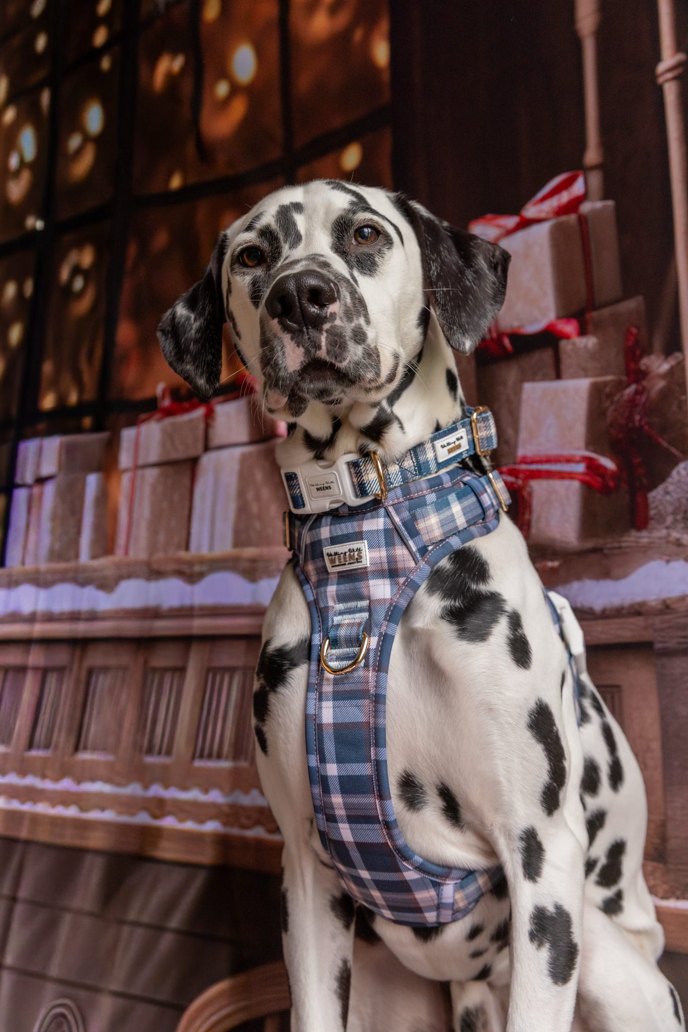 Frosted Flannel - Adventure Addition