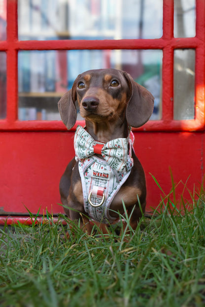 Berries and Bloom - Bow Tie