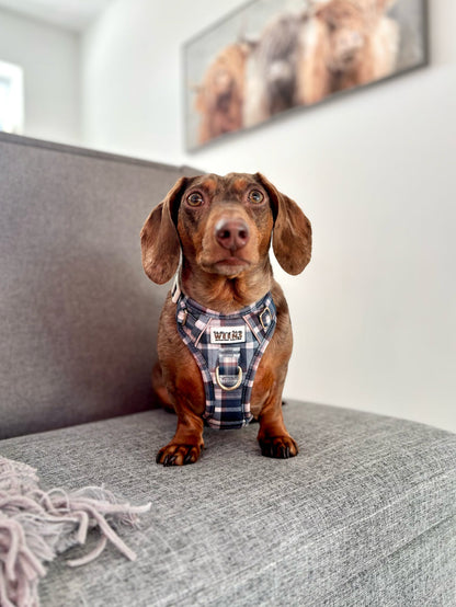 Frosted Flannel - Adventure Addition