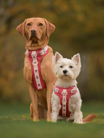 Classic Crimson - Adventure Addition