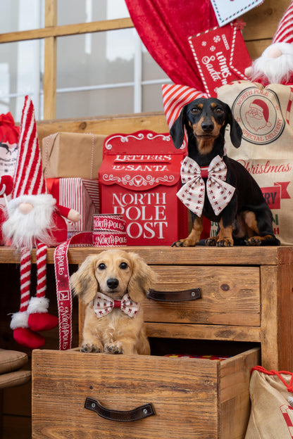 Classic Crimson - Bow Tie