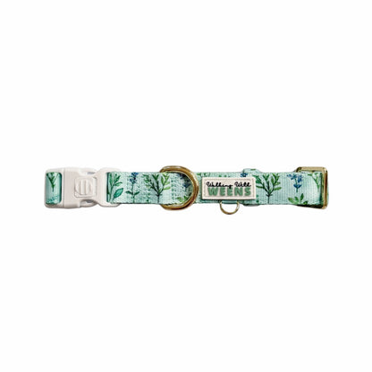 Sage Springs - Collar