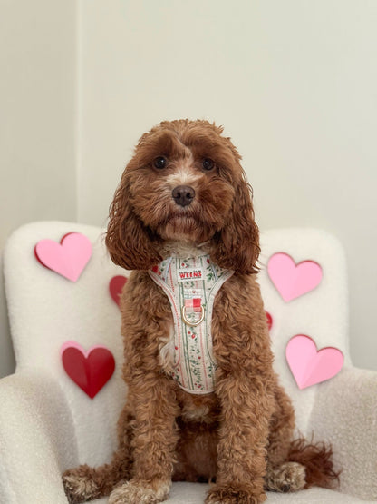 Berries and Bloom - Adventure Addition (See description)