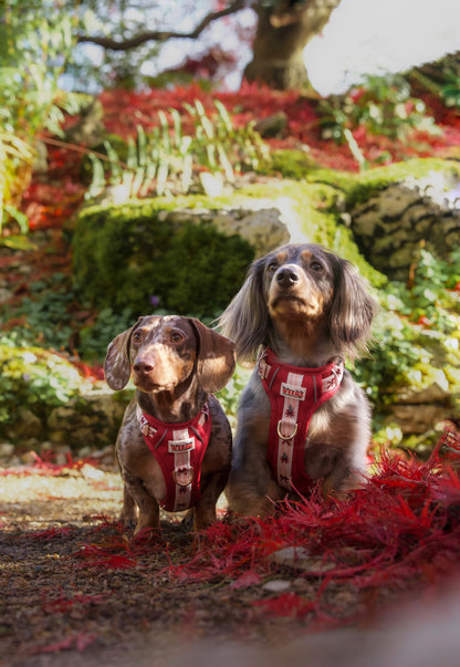 Classic Crimson - Adventure Addition