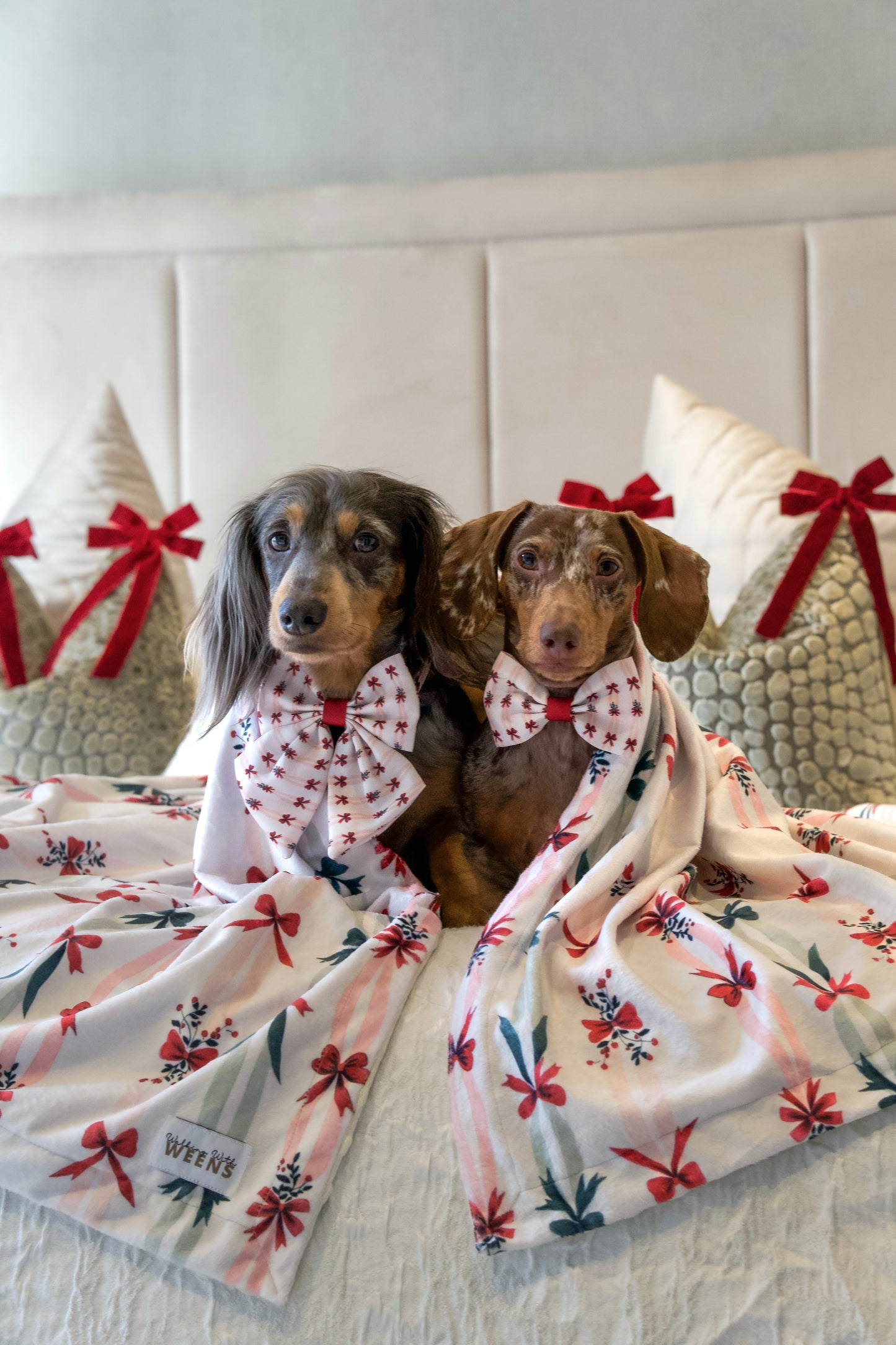 Classic Crimson - Snuggle Sized Blanket