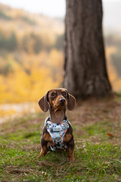 Pinewood Peaks - Adventure Addition