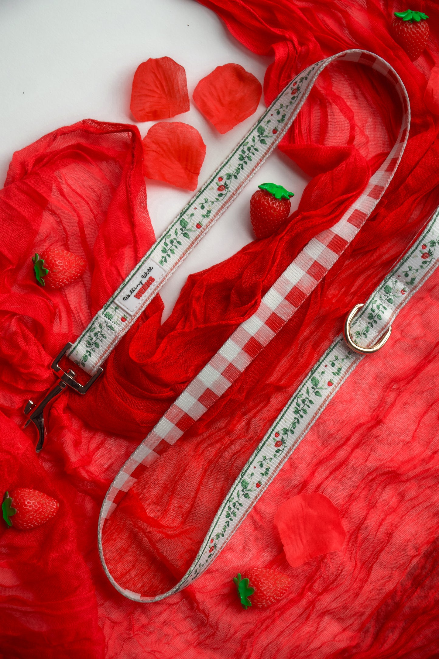 Berries and Bloom - 4ft Lead