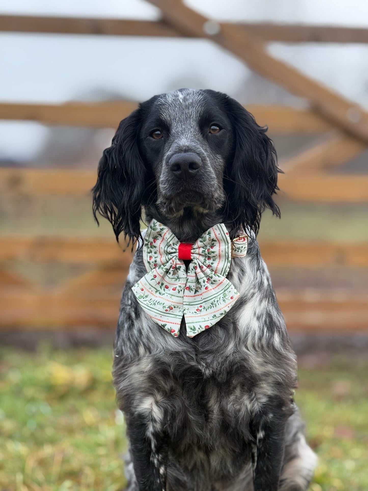 Berries and Bloom - Sailor Bow