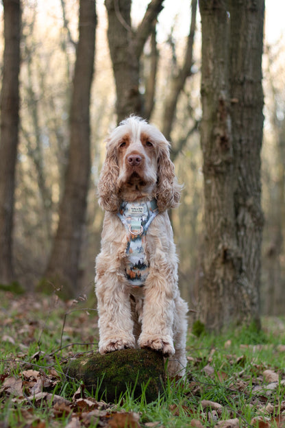 Pinewood Peaks - Adventure Addition