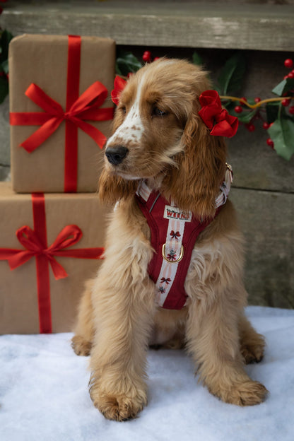 Classic Crimson - Adventure Addition