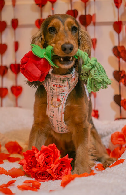 Berries and Bloom - Adventure Addition (See description)