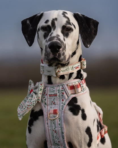 Berries and Bloom - Collar