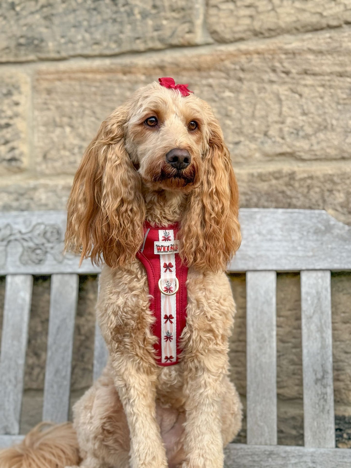 Classic Crimson - Adventure Addition