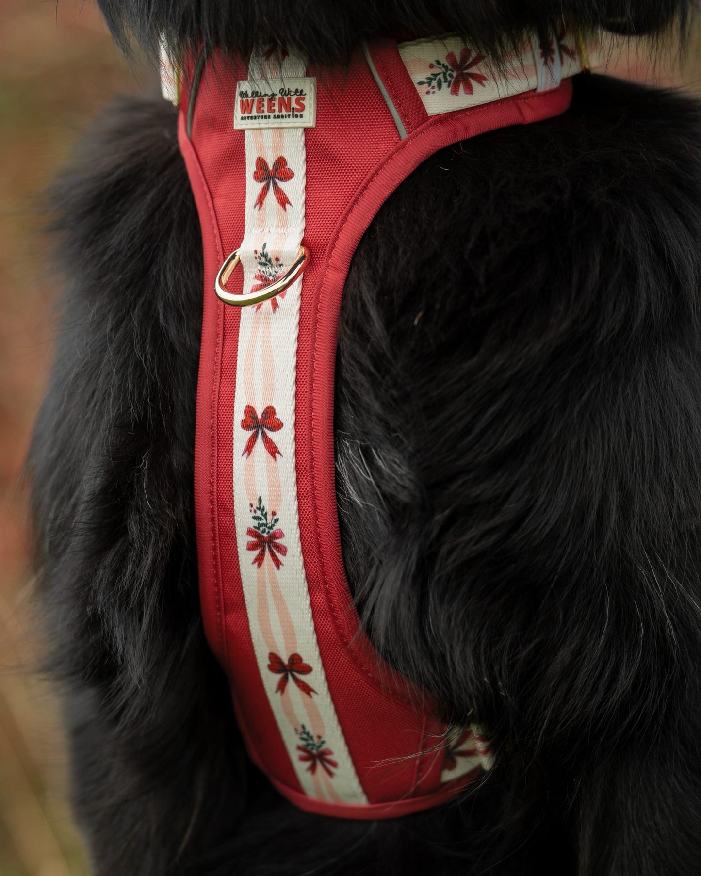 Classic Crimson - Adventure Addition