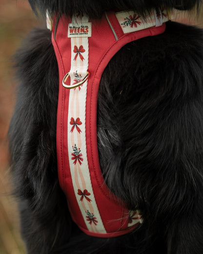 Classic Crimson - Adventure Addition