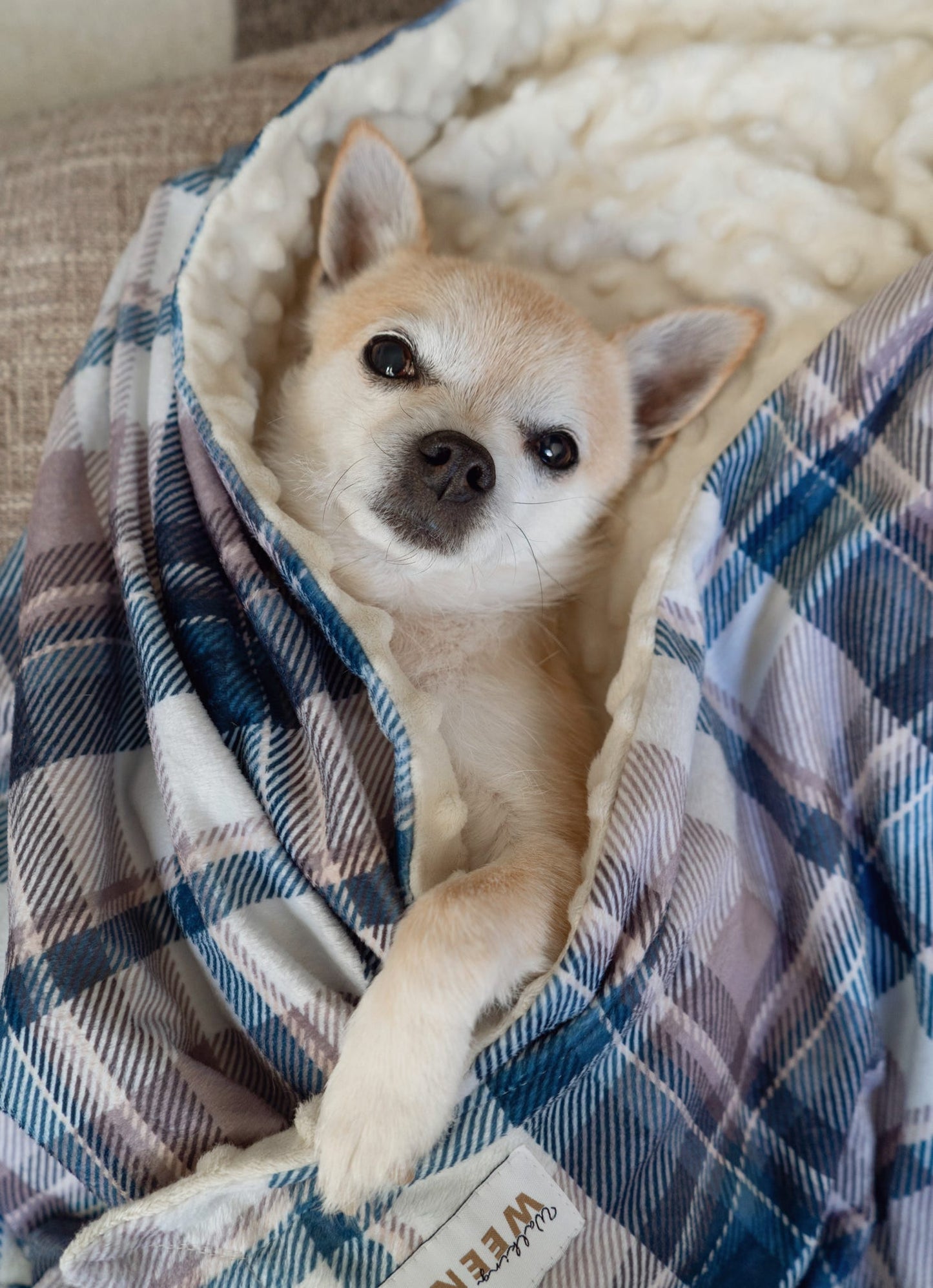 Frosted Flannel - Snuggle Sized Blanket