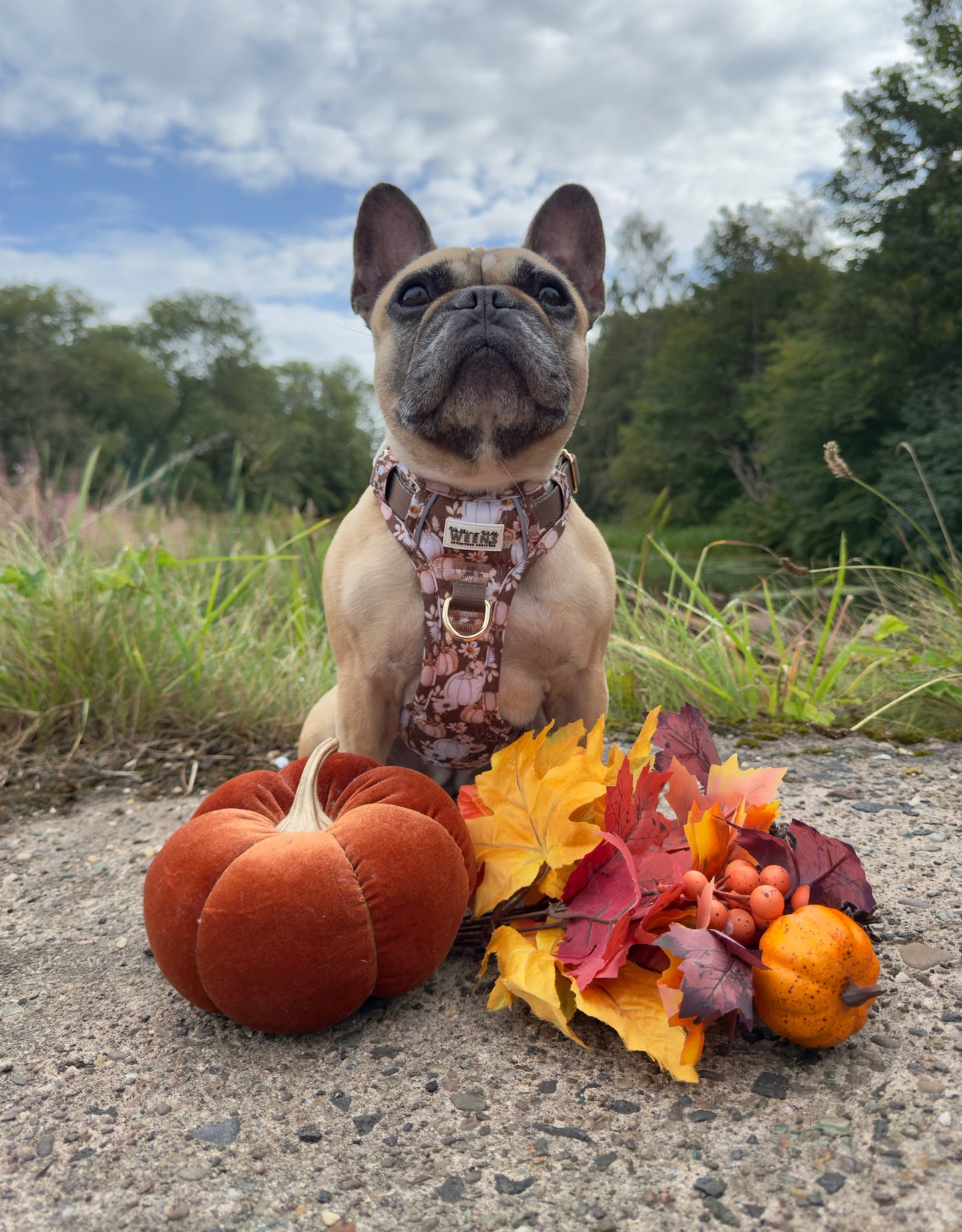 Autumn Acres - Adventure Addition