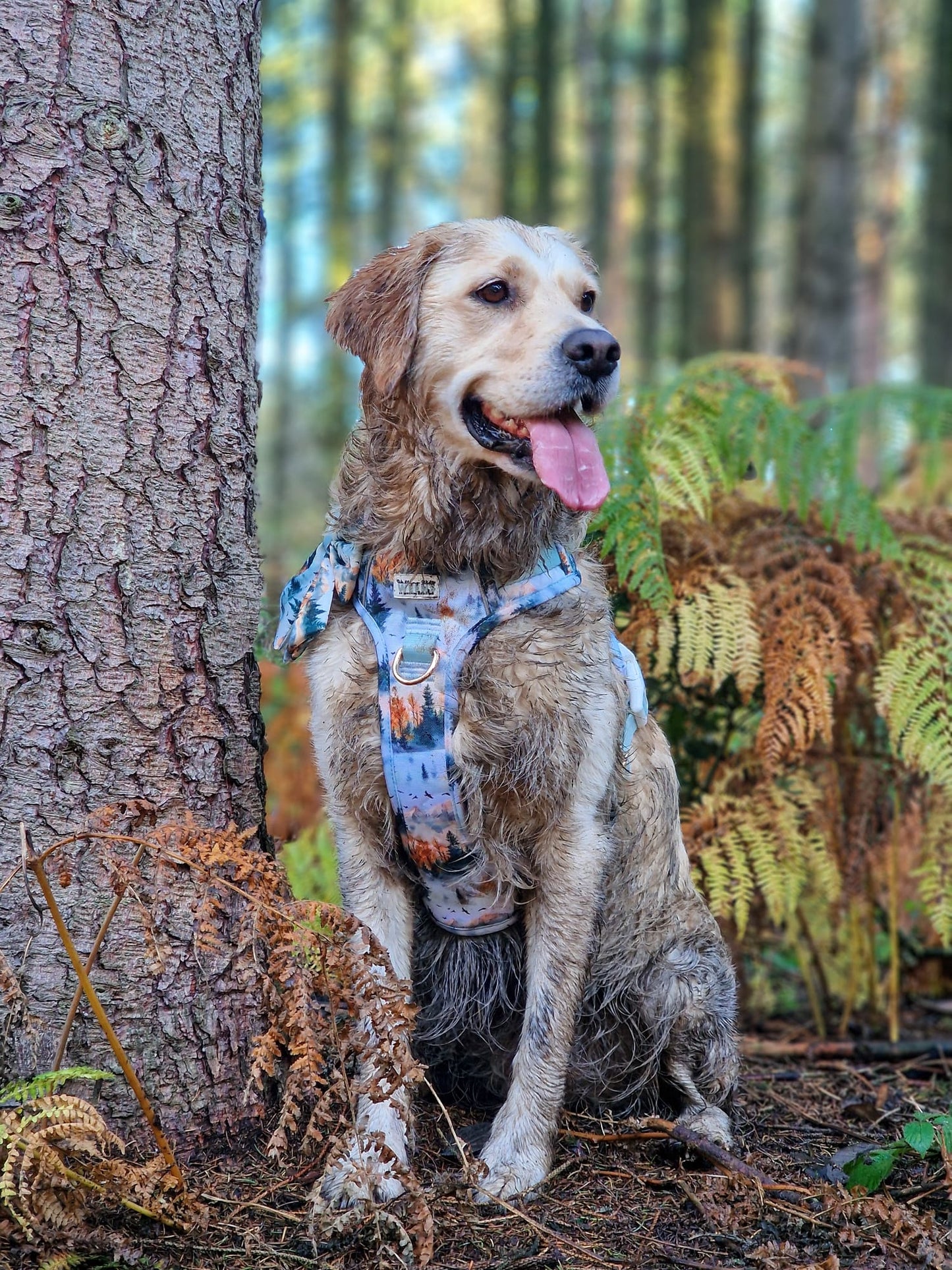 Pinewood Peaks - Adventure Addition