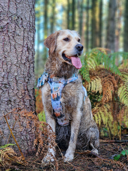 Pinewood Peaks - Adventure Addition