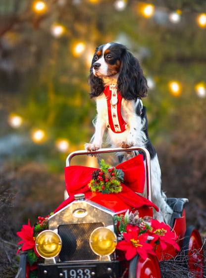 Classic Crimson - Adventure Addition