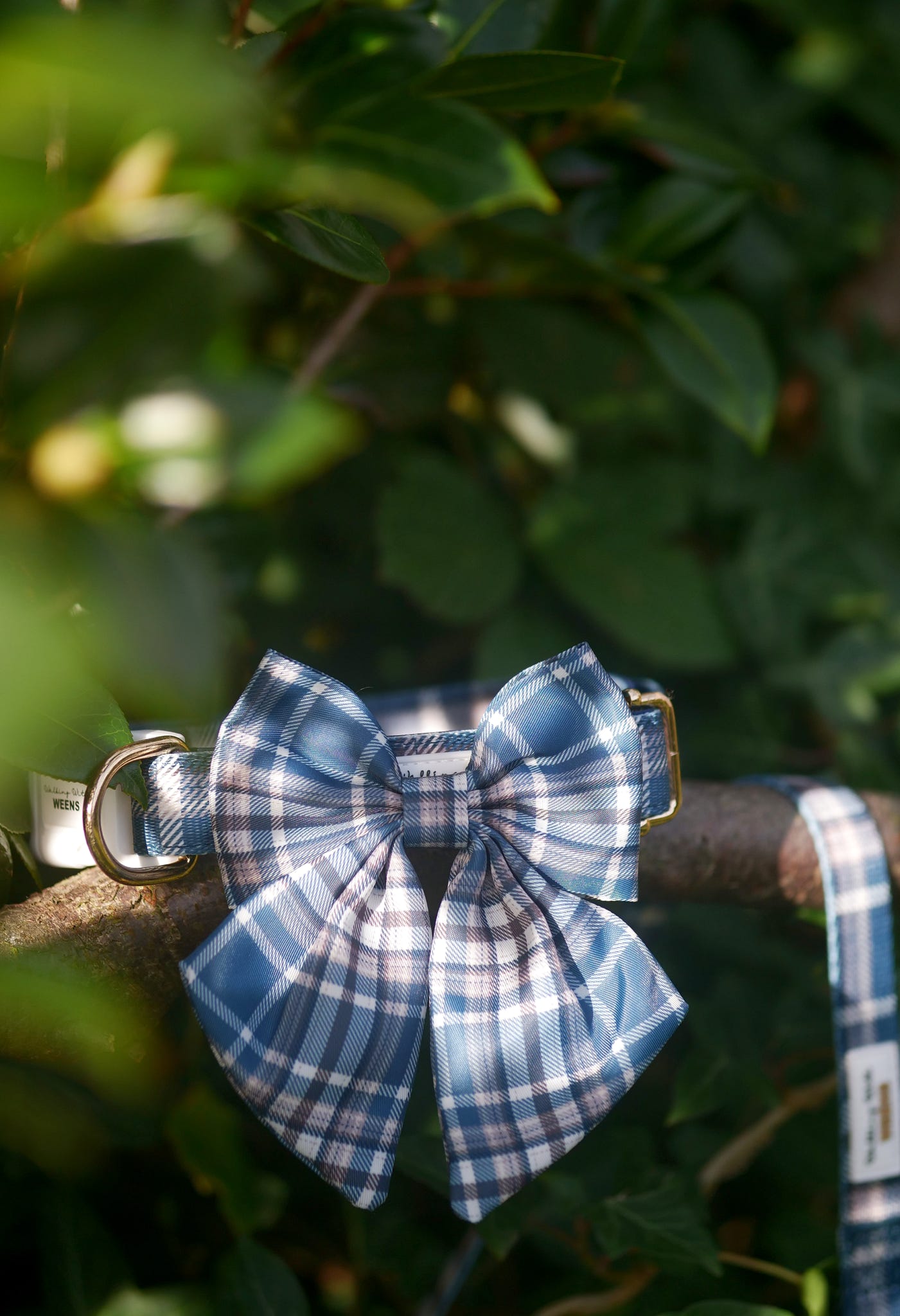 Frosted Flannel - Sailor Bow