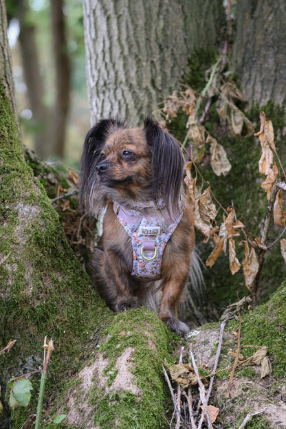 Bramble Burrows - Adventure Addition
