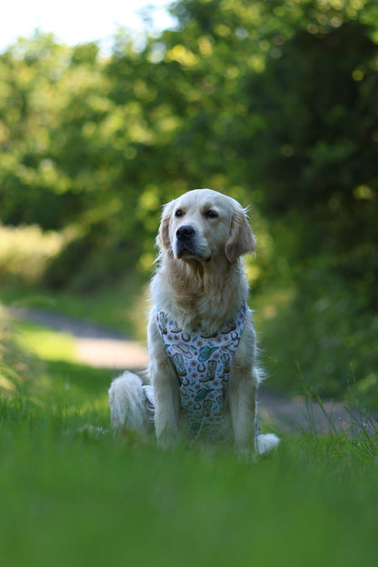Cowboy Creek - Cooling Vest