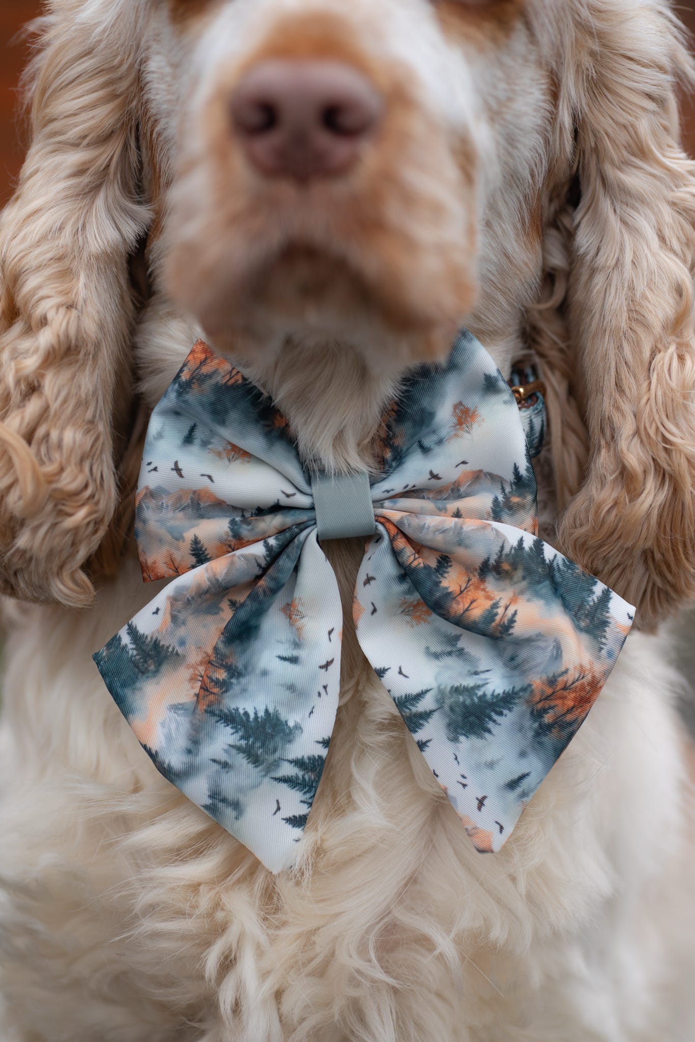 Pinewood Peaks - Sailor Bow