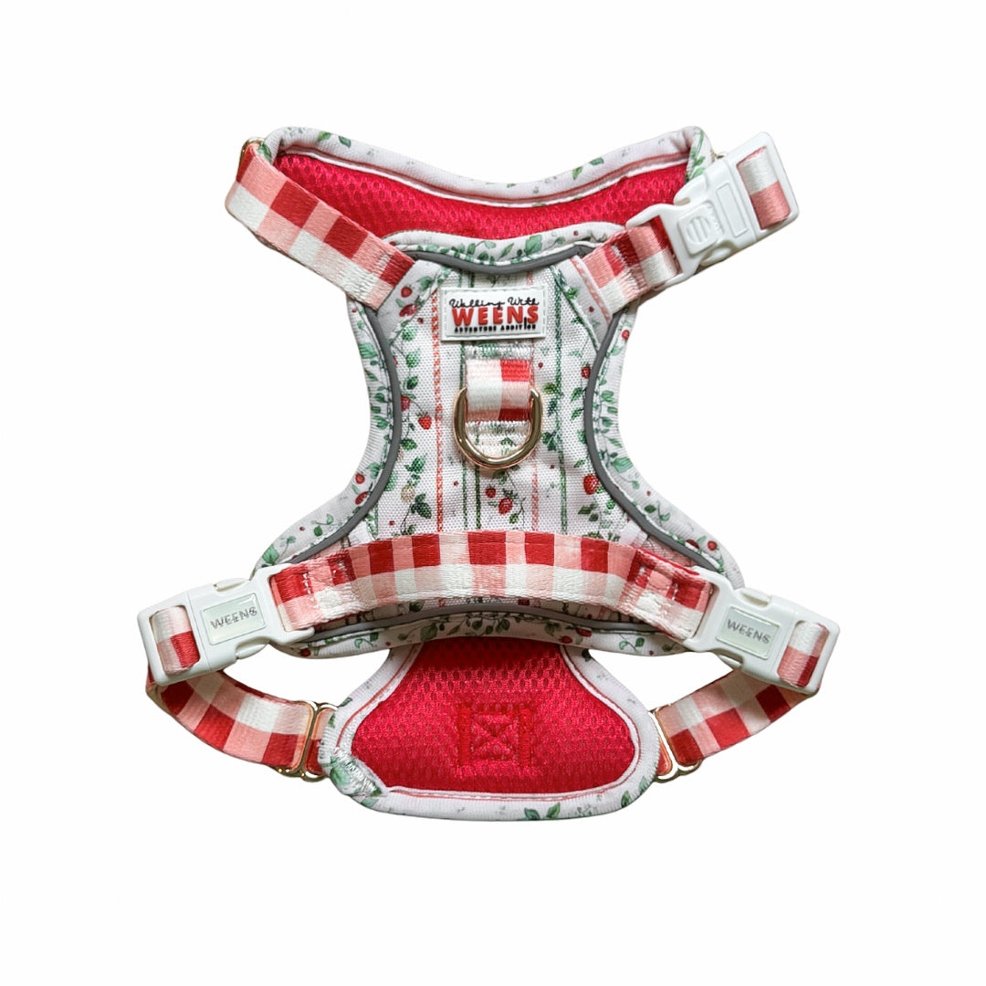 Berries and Bloom - Adventure Addition (See description)