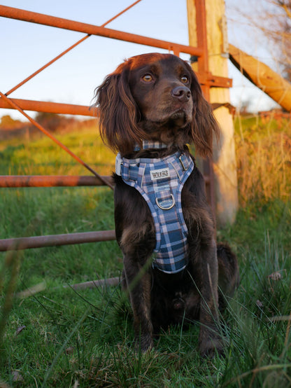 Frosted Flannel - Adventure Addition