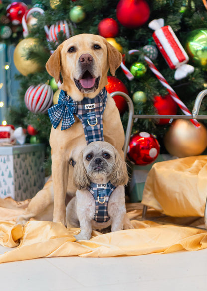 Frosted Flannel - Adventure Addition