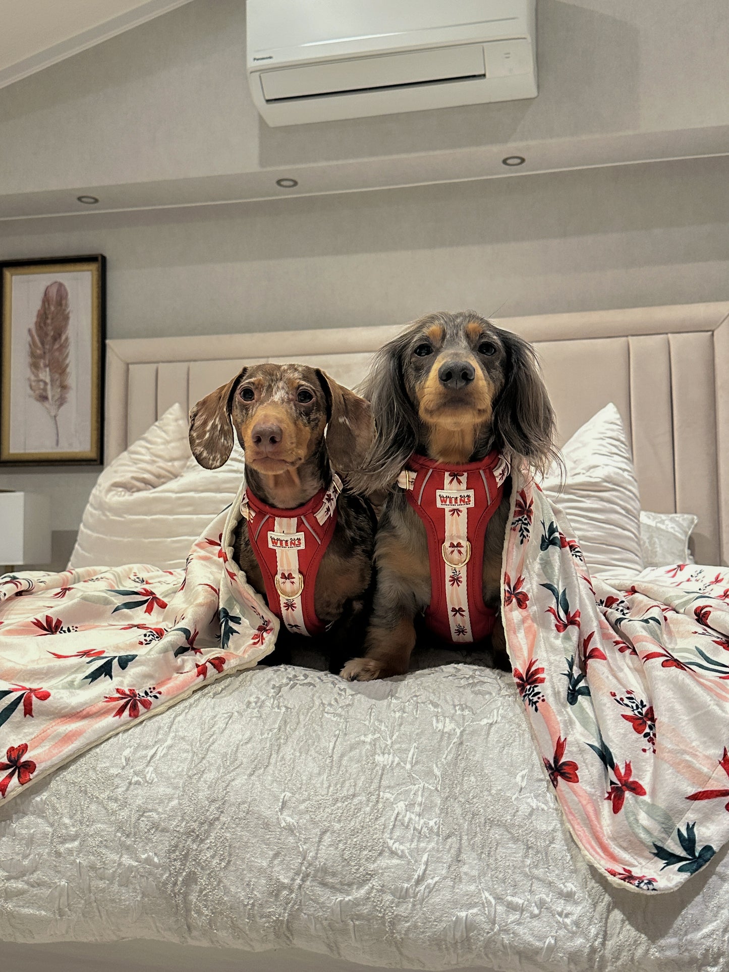 Classic Crimson - Snuggle Sized Blanket