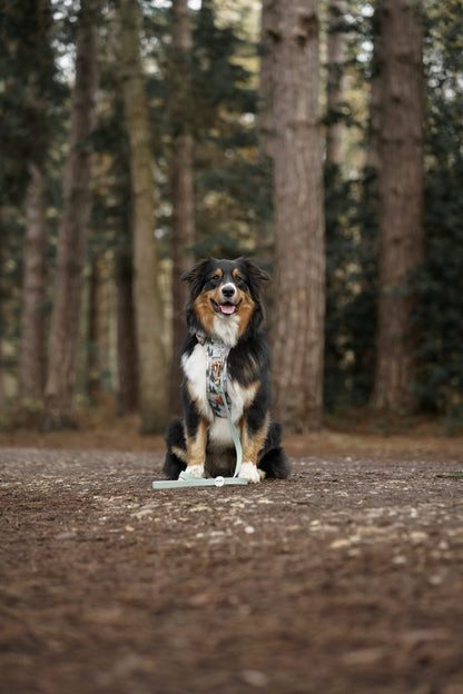 Pinewood Peaks - Adventure Addition