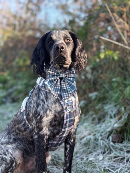 Frosted Flannel - Adventure Addition