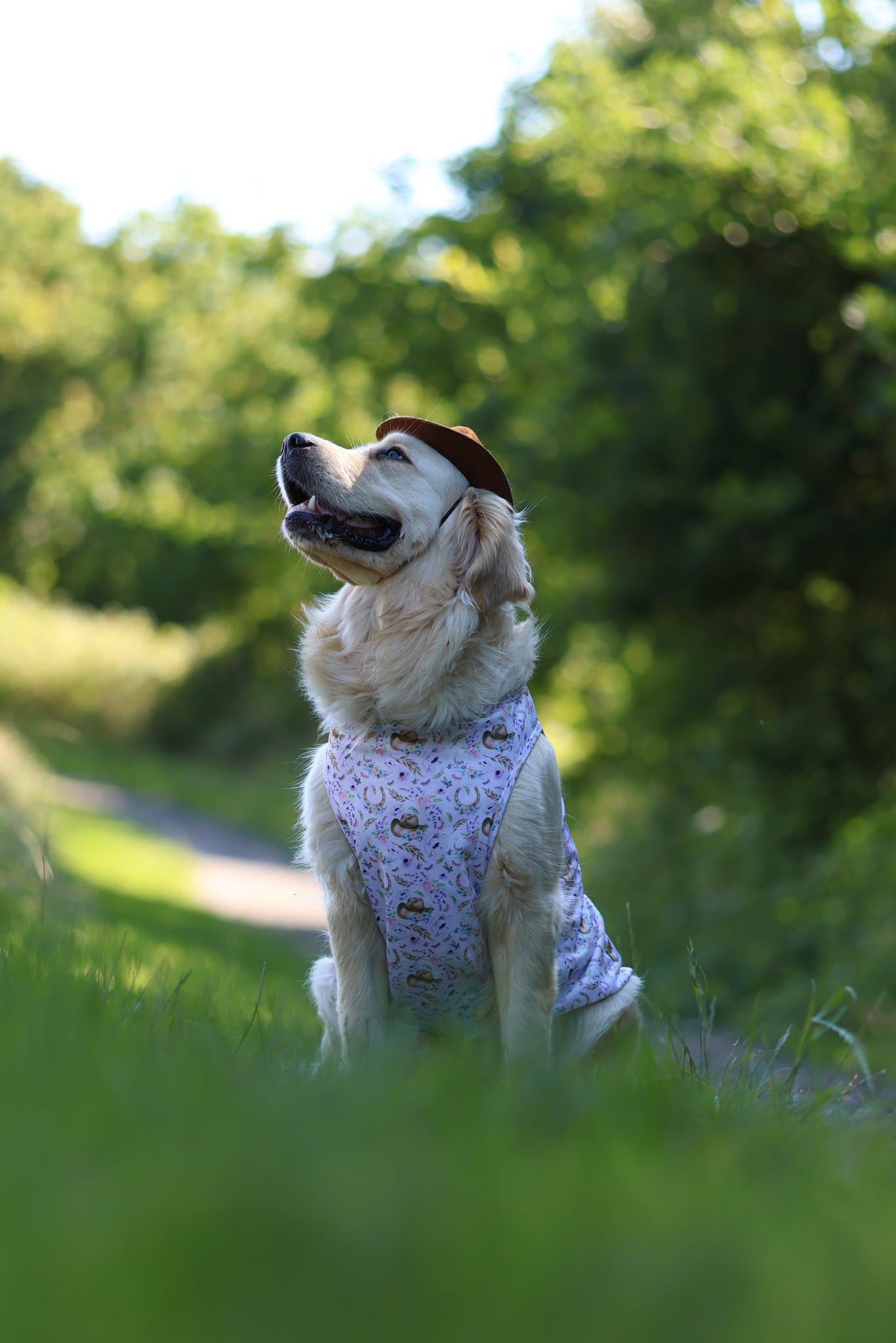 Western Wildflower - Cooling Vest