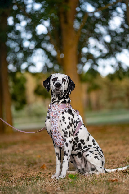 Truffle Taupe - Waterproof Lead