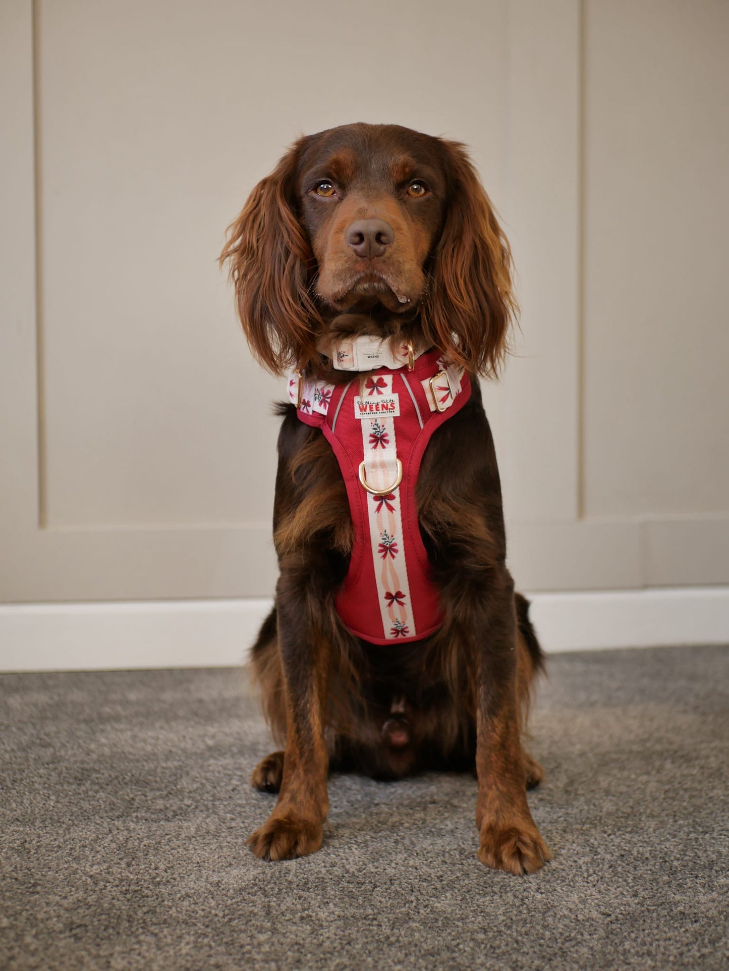 Classic Crimson - Adventure Addition