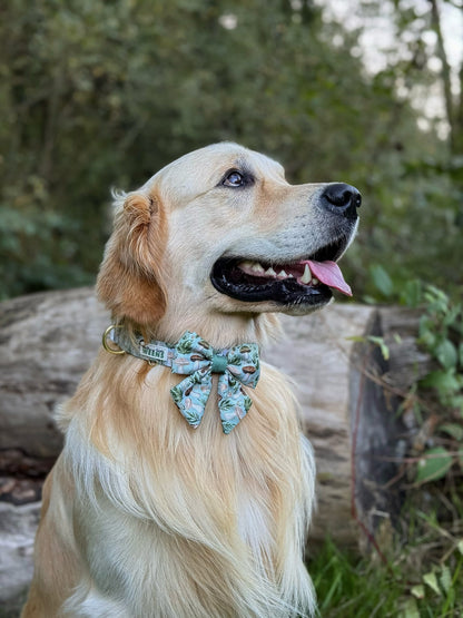 Fern Forest - Collar