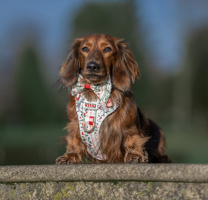 Berries and Bloom - Adventure Addition (See description)